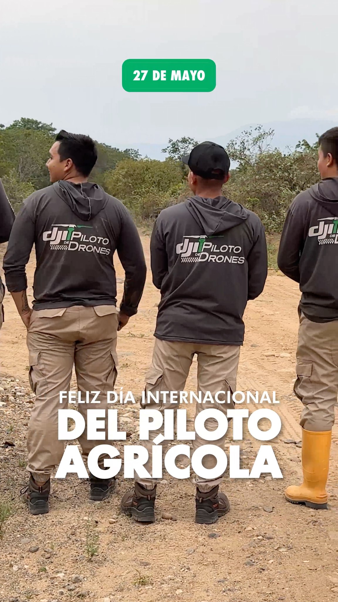 Inicio