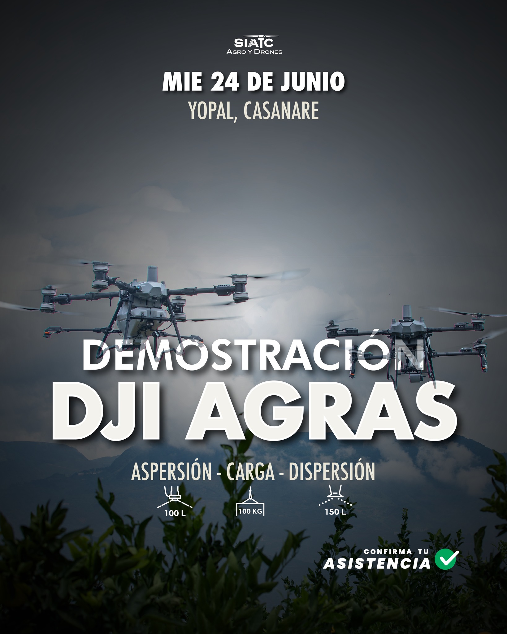 Inicio